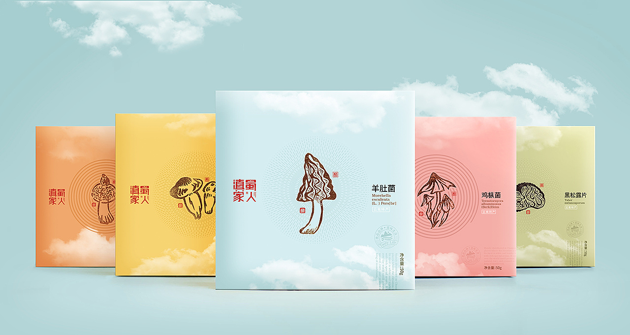 農(nóng)特快消電子產(chǎn)品包裝設(shè)計(jì)(圖1)