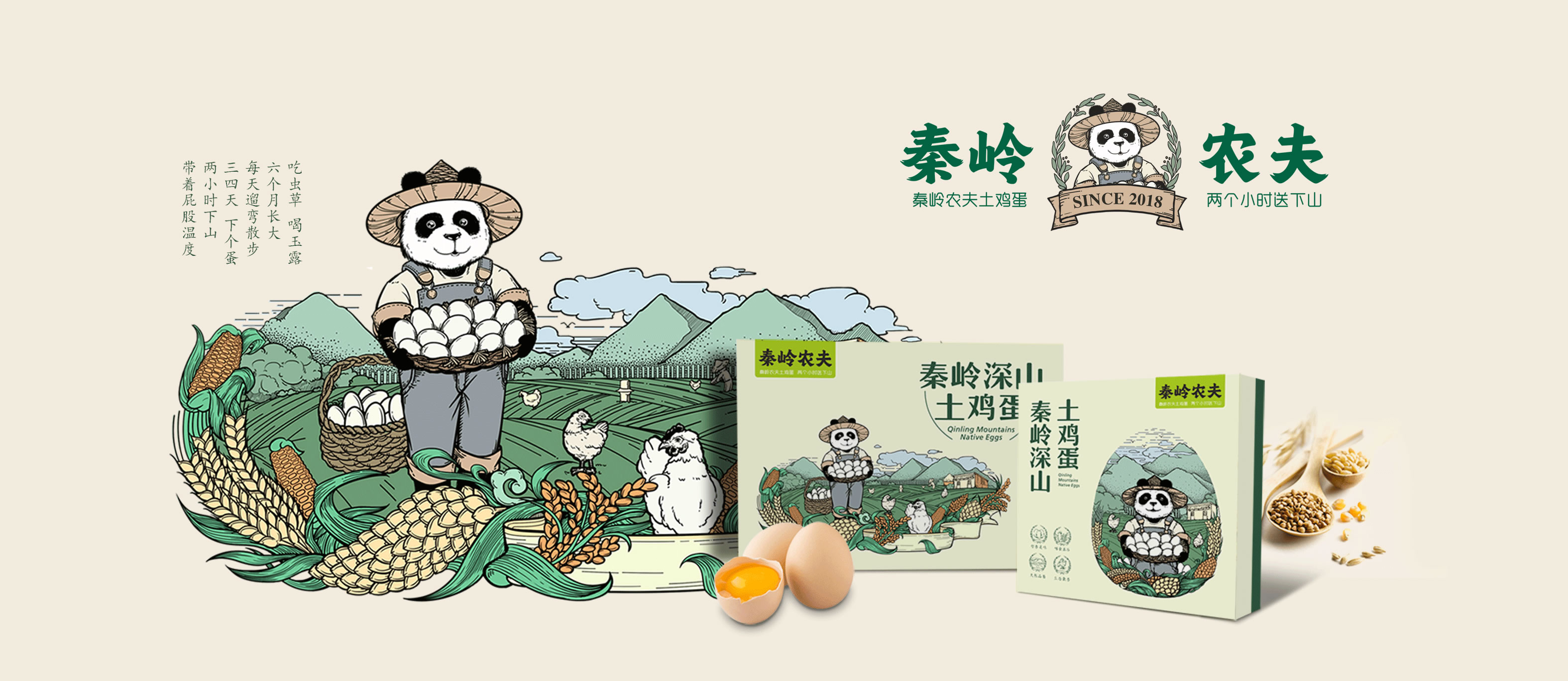 雞蛋包裝盒設計方案-雞蛋包裝設計公司