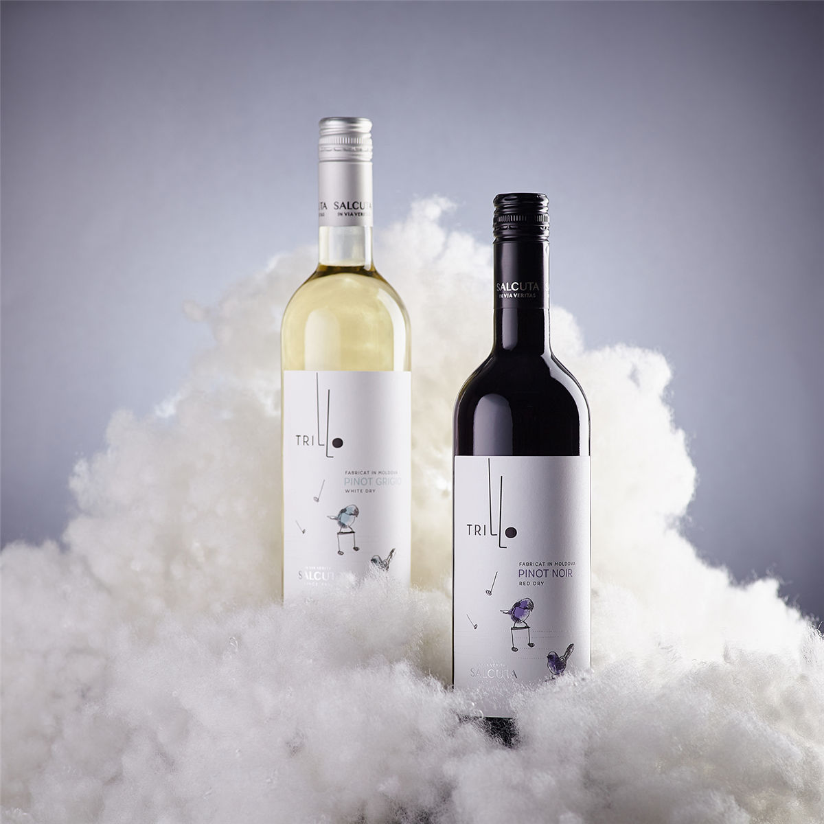 年輕葡萄酒包裝設(shè)計(圖1) 年輕葡萄酒包裝設(shè)計(圖1)
