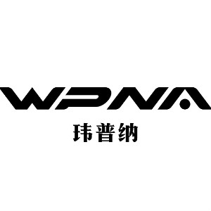 瑋普納品牌logo設(shè)計(jì)欣賞與分析(圖1)