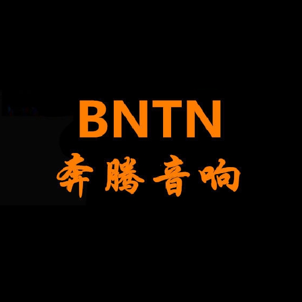奔騰品牌logo設(shè)計(jì)欣賞與分析(圖1)
