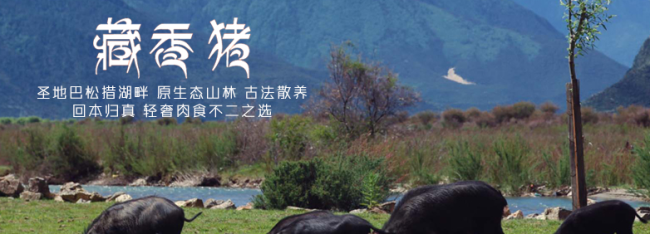 雛牧香品牌logo與產(chǎn)品包裝設(shè)計欣賞(圖3)