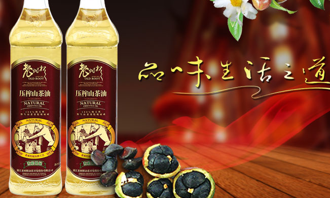 老樹根品牌logo與產(chǎn)品包裝設(shè)計(jì)欣賞(圖2)