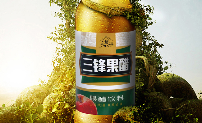 三鋒品牌logo與食品包裝設(shè)計欣賞(圖4)
