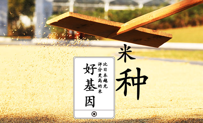一號農(nóng)場品牌logo與食品包裝設計欣賞(圖4)