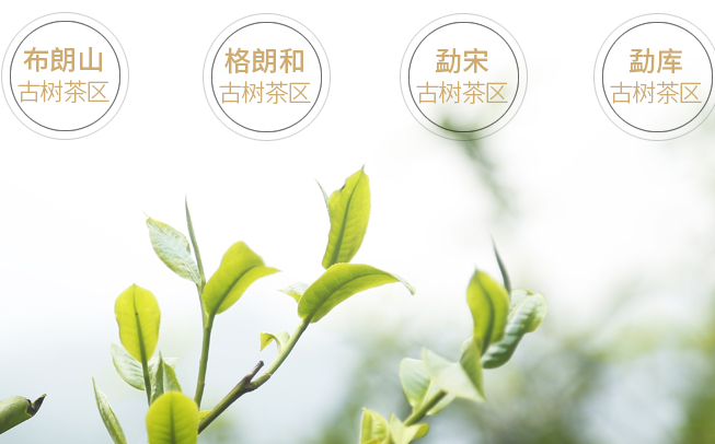 老同志品牌logo與食品包裝設(shè)計欣賞(圖3)