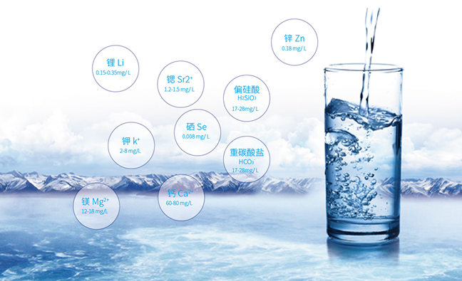 Pamirs帕米爾品牌logo與食品包裝設(shè)計(jì)欣賞(圖4)