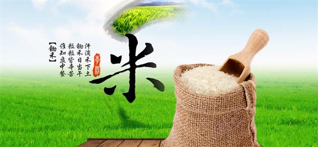 益華米業(yè)品牌logo與食品包裝設(shè)計(jì)欣賞(圖2)