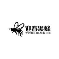迎春黑蜂品牌logo與食品包裝設(shè)計(jì)欣賞(圖1)