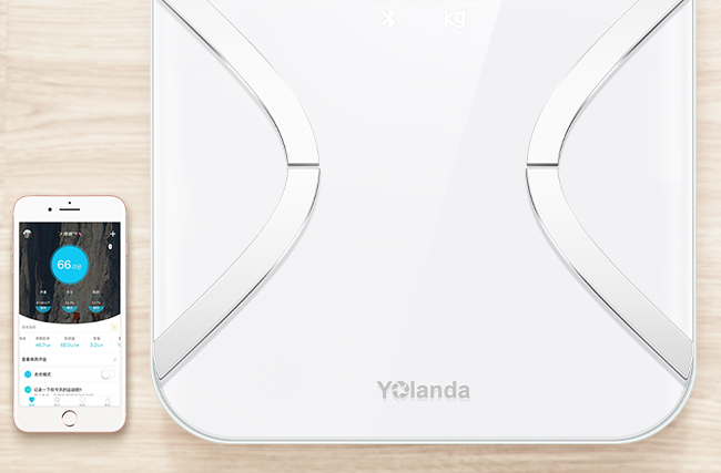 Yolanda云康寶品牌logo與食品包裝設(shè)計欣賞(圖2)