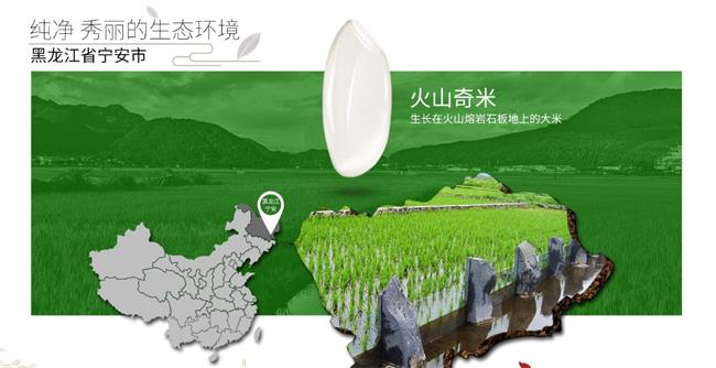 響水大米品牌logo與食品包裝設(shè)計欣賞(圖3)