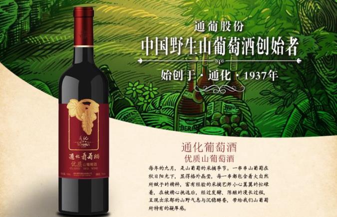 通化TONHWA品牌logo與食品包裝設(shè)計(jì)欣賞(圖2)