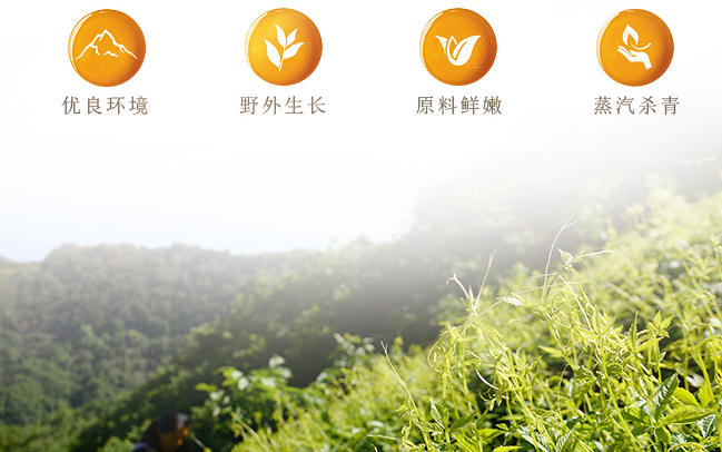 硒谷臻茗品牌logo與食品包裝設(shè)計(jì)欣賞(圖3)