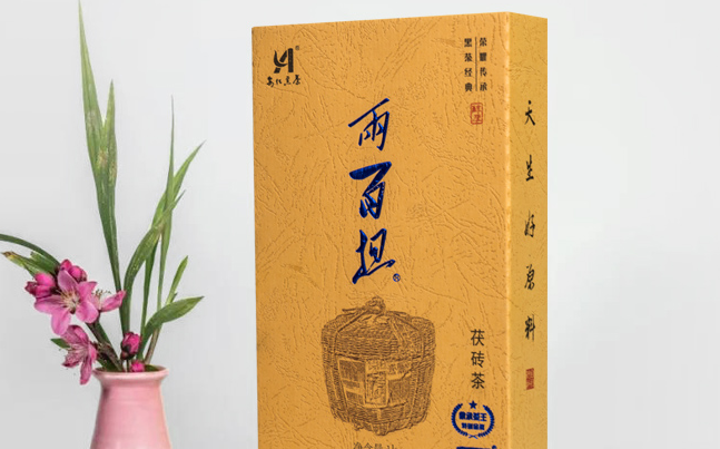 高馬二溪食品包裝設(shè)計欣賞(圖2)