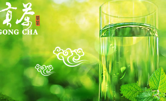 詩典貢茶食品包裝設(shè)計(jì)欣賞(圖4)