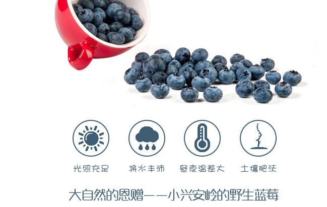 忠芝食品包裝設(shè)計(jì)欣賞(圖4)
