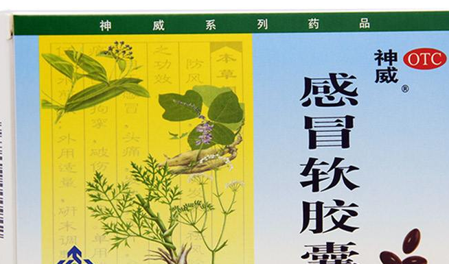 SHINEWAY神威食品包裝設(shè)計(jì)欣賞(圖3)