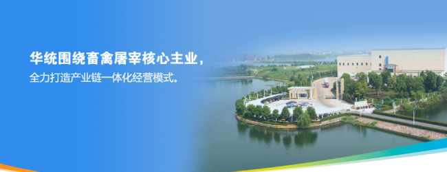 HUATONG華統(tǒng)食品包裝設(shè)計欣賞(圖3)