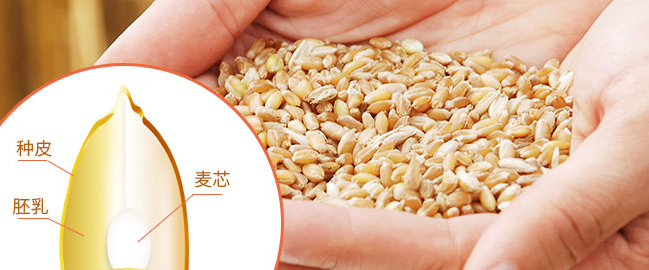 發(fā)達(dá)面粉食品包裝設(shè)計(jì)欣賞(圖4)