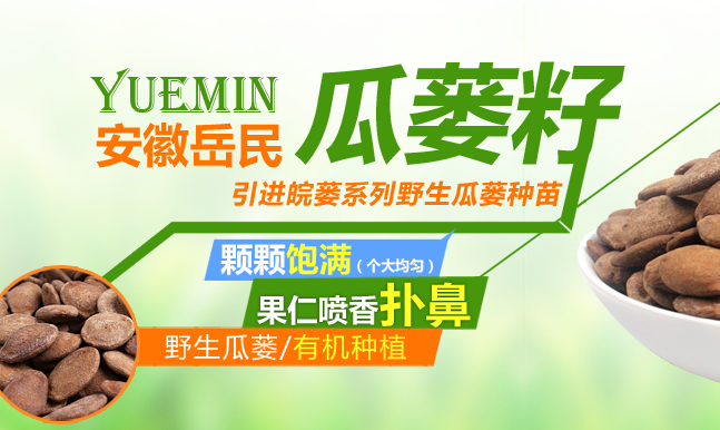 YUEMIN岳民食品包裝設計欣賞(圖3)