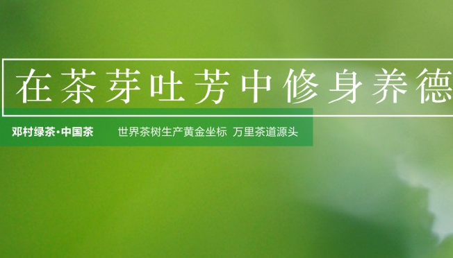 鄧村綠茶食品包裝設(shè)計欣賞(圖2)