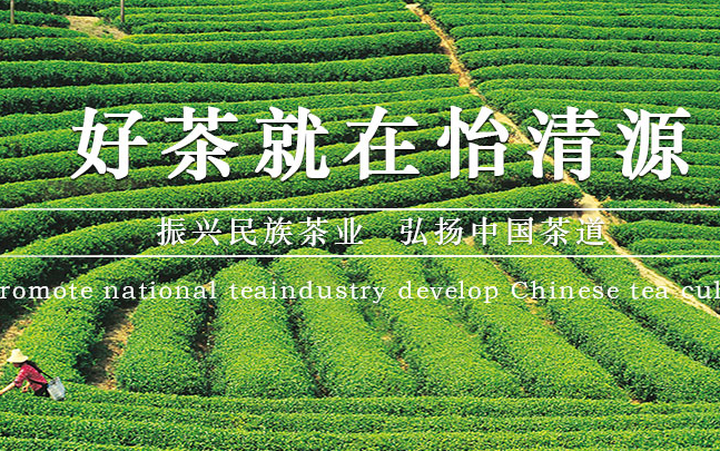 怡清源食品包裝設(shè)計欣賞(圖2)